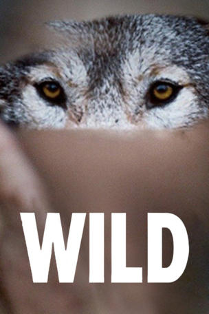 Wild