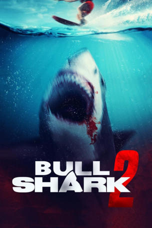 Bull Shark 2